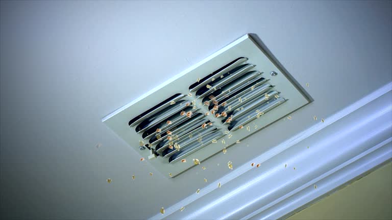 Best Professional Duct Cleaning Services  in Olive Hill, KY