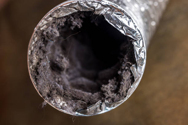 Best Air Duct Cleaning Near Me  in Olive Hill, KY