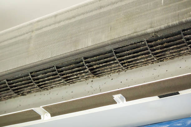 Affordable HVAC Duct Cleaning in KY
