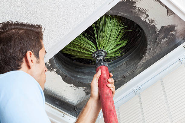 Best Dryer Vent Cleaning Services  in Olive Hill, KY